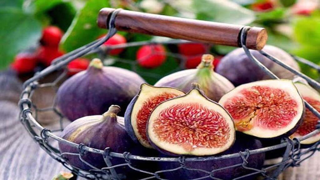 Properties of fig fruit + how to prepare some items that are prepared with figs