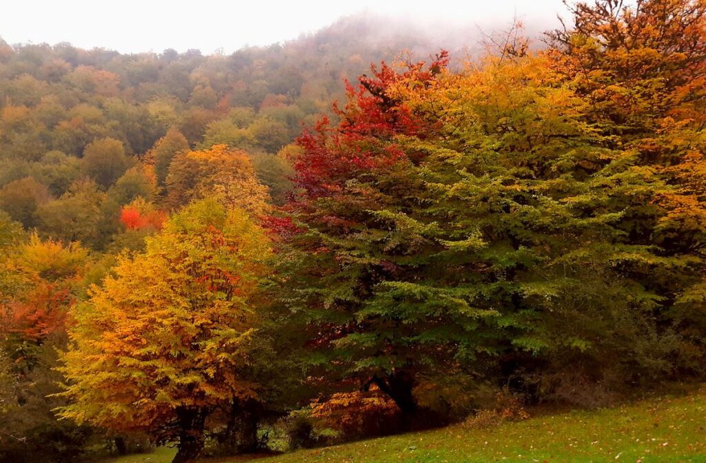 جاذبه‌های توریستی ایران